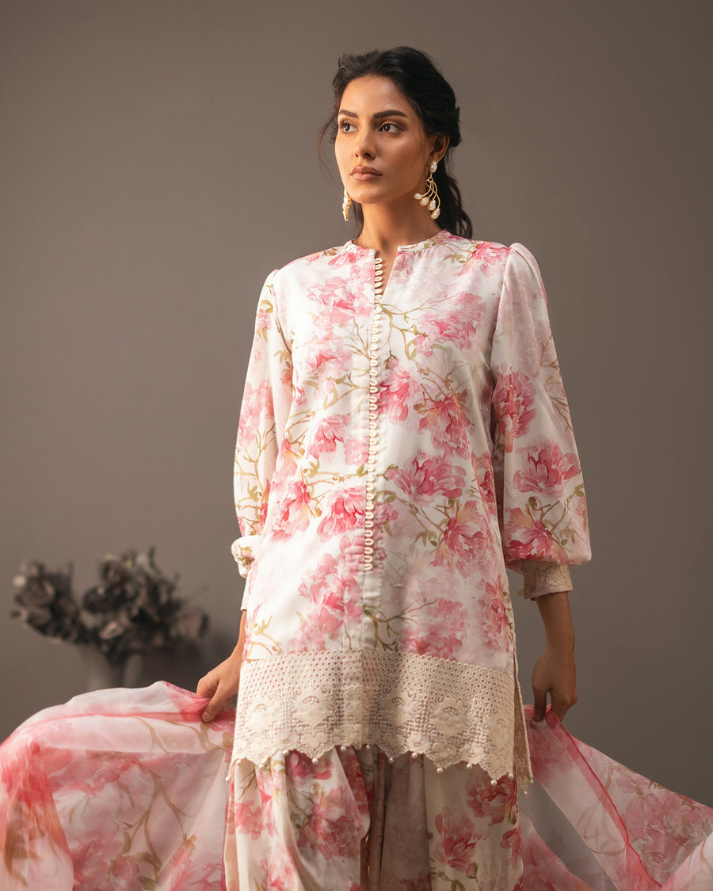 Peony 'UNS-5053