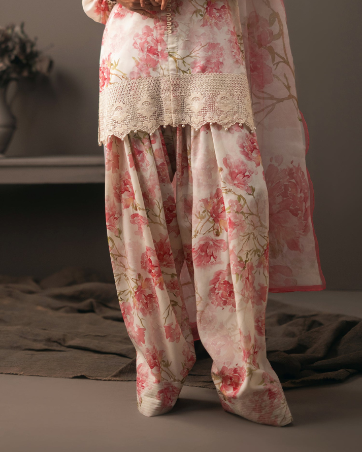 Peony 'UNS-5053